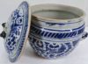 Gambar Blue and White Gamching with Dragon Design
